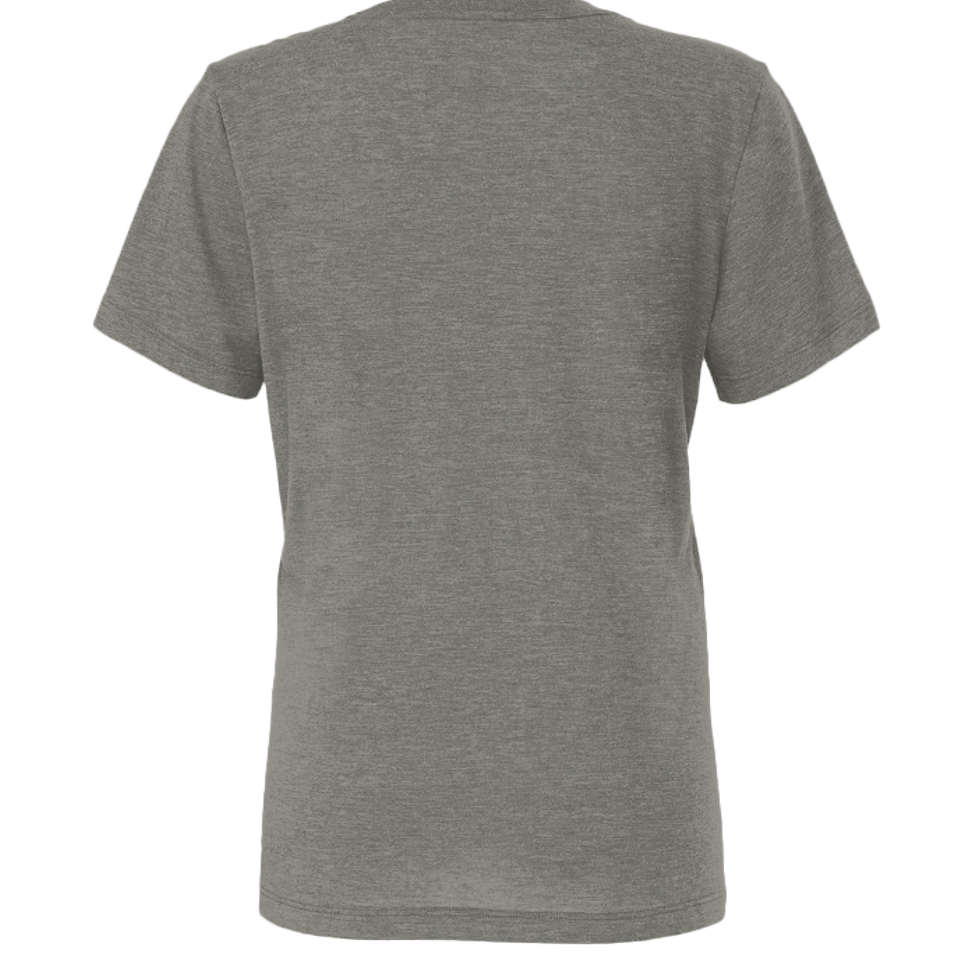Charcoal-Black Triblend - 6413 - BACK