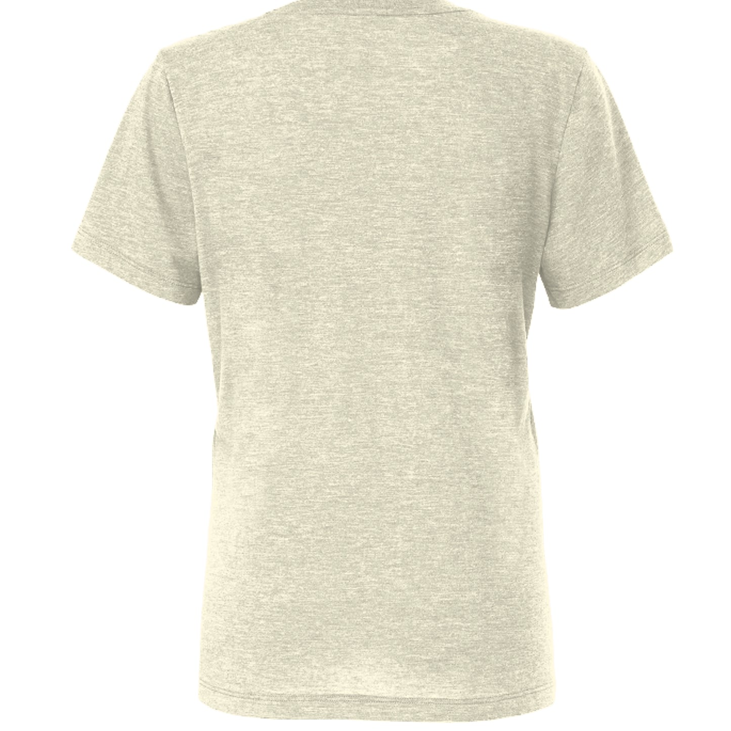OATMEAL TRIBLEND - 6413 - BACK